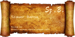 Szauer Barna névjegykártya
